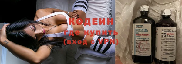 молекула духа Пестово