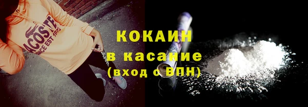 прущие грибы Алексин