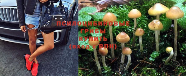 прущие грибы Алексин