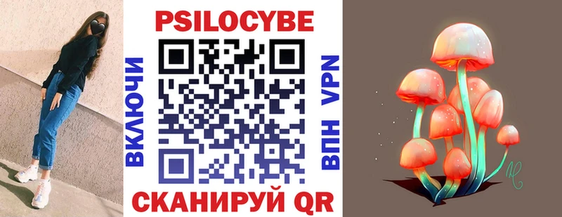 Галлюциногенные грибы Psilocybine cubensis  Боготол 